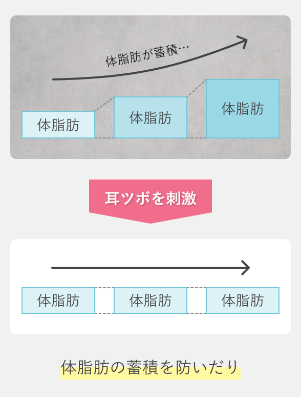 体脂肪の蓄積を防いだり